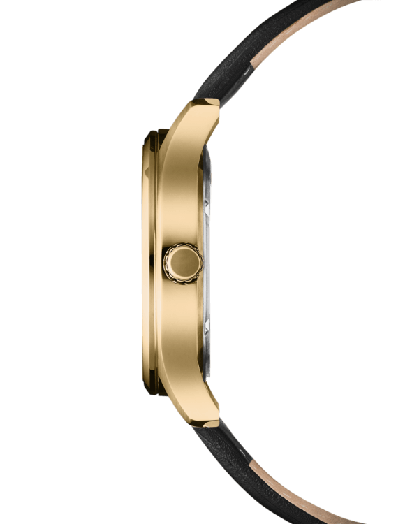 Swiss Military SM34116.06 side view gold PVD case